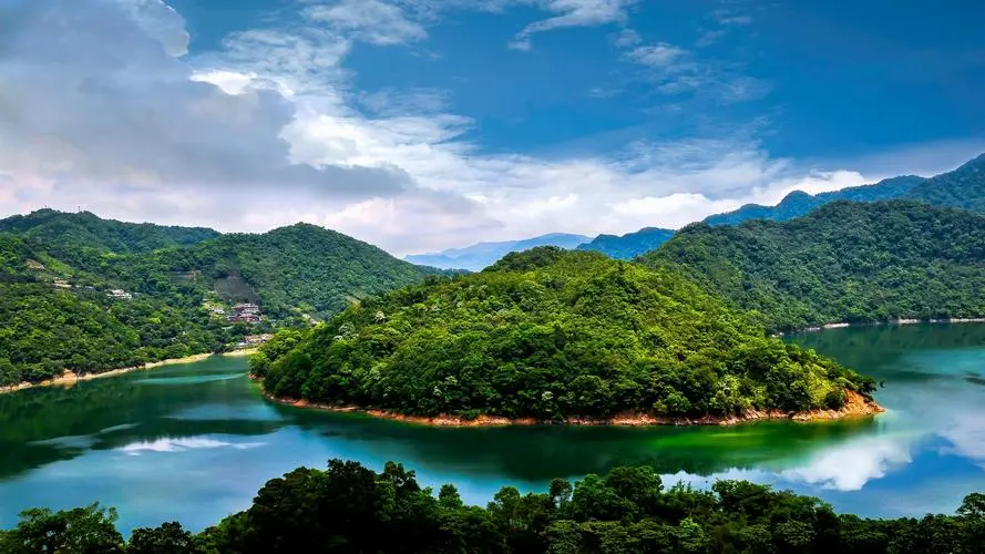 高性能全自动可靠性